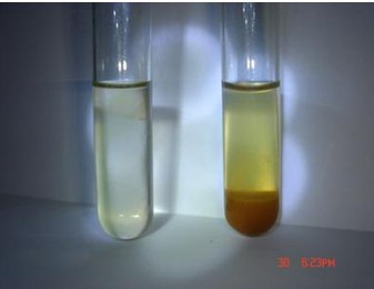 硫酸亚铁和氢氧化钠的反应常用来检测硫酸亚铁是否变质